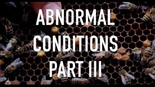 Abnormal Conditions Part III - Laying Workers, Sacbrood