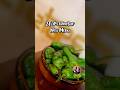 2Taps: New Menu.