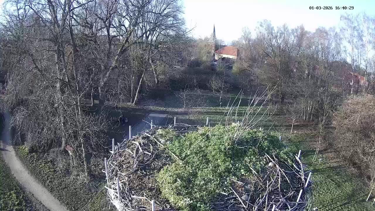 Storchennest Holtorf