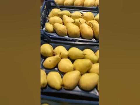 груша свежий Турция. - YouTube