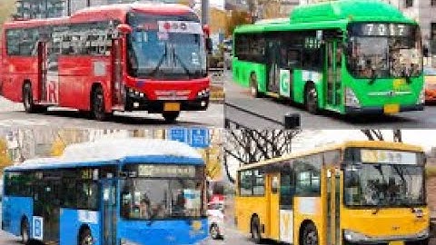 Hướng dẫn cách đi xe bus ở hàn quốc nha mọi người 🏃🏻‍♀️🚌 #huongdancachdixebus#hanquoc#trainghiem