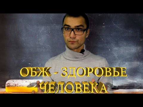 Основы Безопасности Жизнедеятельности/Здоровье человека/Лекция №2/ОБЖ