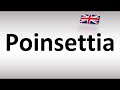 How to Pronounce Poinsettia in British English (UK)