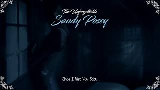 Video thumbnail of "Sandy Posey - Since I Met You Baby [HQ]"