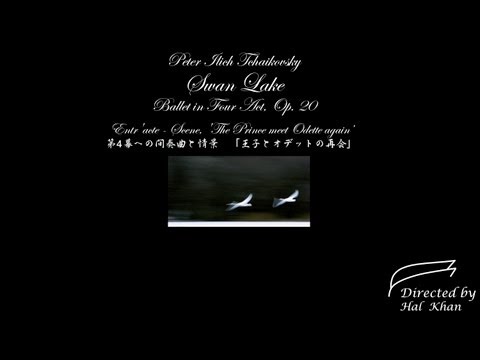 チャイコフスキー：　バレエ音楽「白鳥の湖」から(13) 第4幕への間奏曲と情景　「王子とオデットの再会」