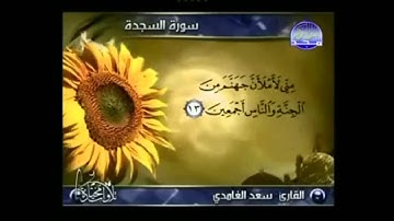 القارئ سعد الغامدي سورة السجدة