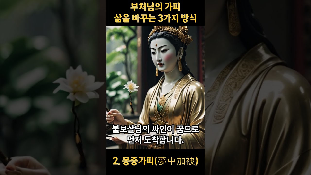 삼종가피: 삶을 바꾸는 3가지 방식....