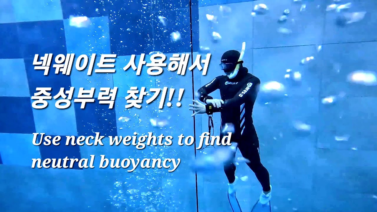 [프리다이빙] 넥웨이트 사용해서 중성부력 찾기!! (Use neck weight to find neutral buoyancy