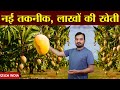 लाखों की खेती | Israel Technique agriculture | Mango Farming | New agriculture | New Business