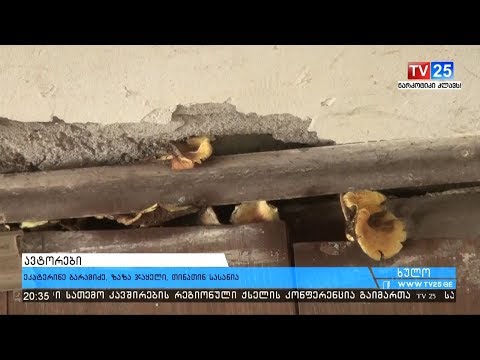 სააღმზრდელო პროცესი სიცოცხლისთვის საფრთხს შემცველ გარემოში