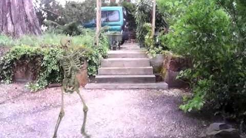 FX GURU # DANCING SKELETON