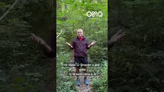 Thumbnail for Vijon Saga.... me poezinë e Naimit, Ilir Meta kërkon "trashëgimin" e pushtetit të Shqipërisë