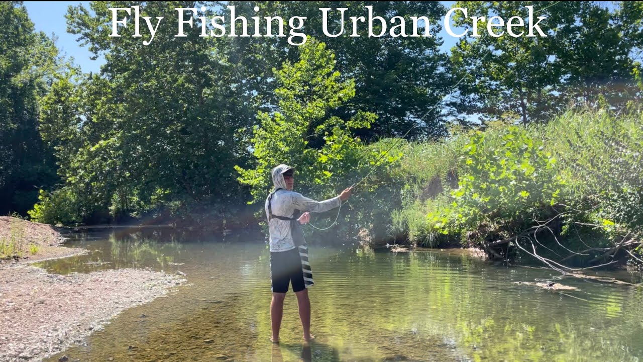 FLY FISHING URBAN CREEK- Catching Gar on the Fly