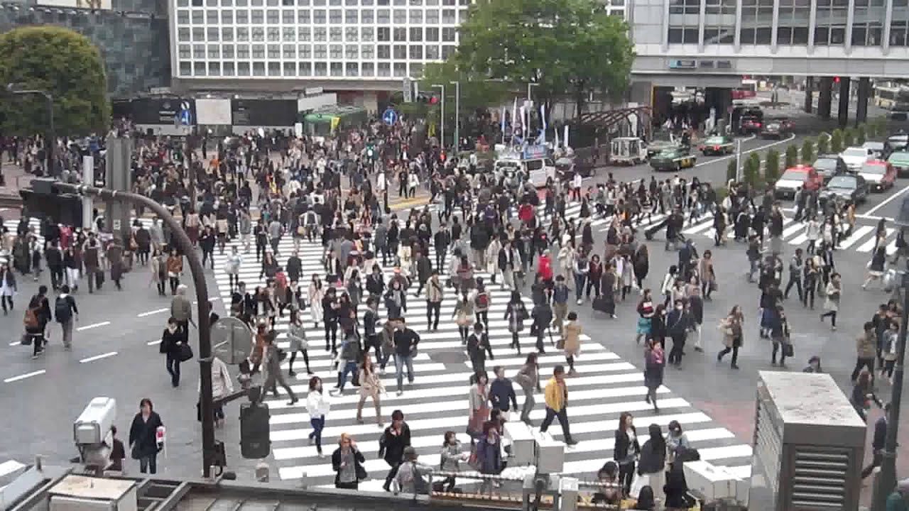 Jumbo Zebra Crossing Tokyo 1 YouTube