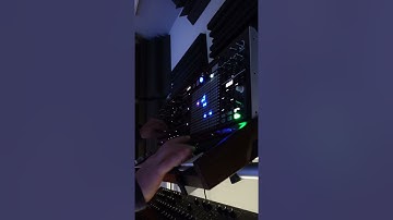 Arturia MatrixBrute Split #shorts