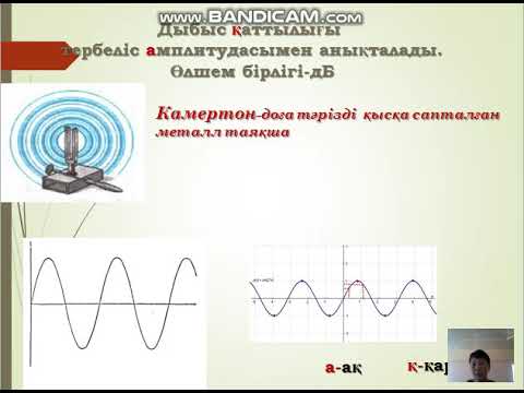 Бейне: Ультрадыбыстың толқын ұзындығын қалай табуға болады?