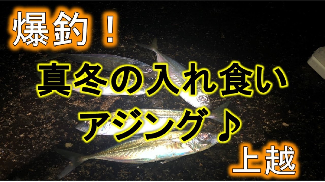 真冬の入れ食いアジング 02上越 Youtube
