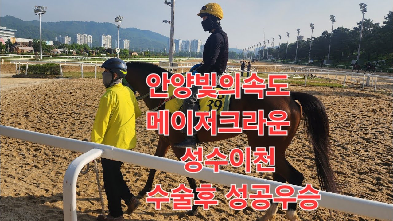 안양빛의속도 메이저크라운 영웅이천 수술후 우승
