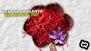 Harga per Kilogram Rp 140 Juta, Mengapa Saffron Jadi Rempah Termahal di Dunia? Ternyata ini...