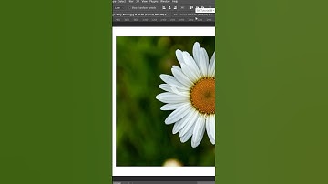 DaAक presents Photoshop Tutorial : Move and Artboard Tool