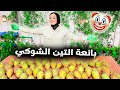 حققت حلمها ومن الاخر دلعتها اكتشفت انها مجنونة