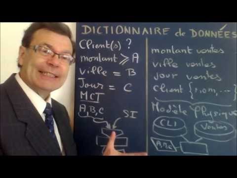 Vidéo: Qu'est-ce qu'un dictionnaire de données en recherche ?