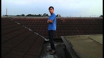 Acting in animation reference