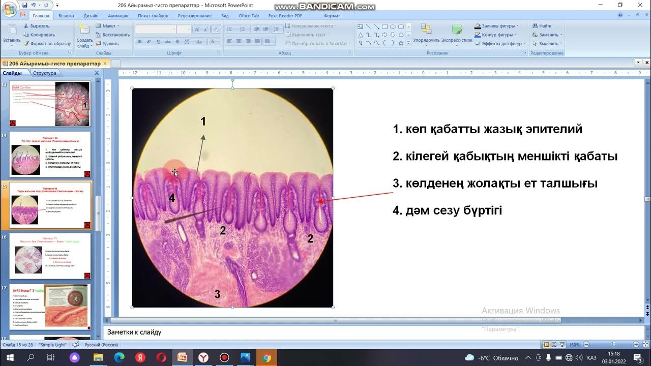 Қайықтағы секс