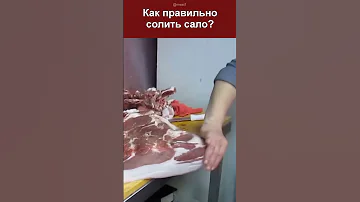 Лучший рецепт сала