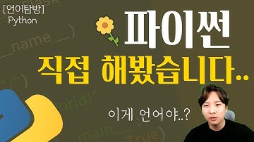 파이썬(Python) 직접 코딩해봤습니다!🥪[언어탐방🔎]