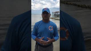 De5Fa31A A769 4Eb5 Bfd1 46Abd84F4024