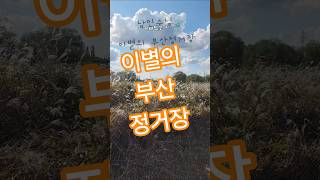 #남인수 #이별의부산정거장 #trekking #travel