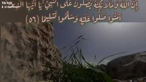 سورة الأحزاب (٥٦) وديع اليمني