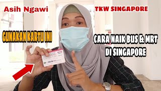 Cara Naik Bus Mrt Di Singapore Tkw Singapore