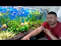 История болезни (водоросли в аквариуме)