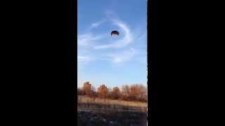 OZONE IGNITION 3-line kite