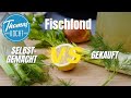 Fischfond einfach selber machen - Vergleich selbstgemachter Fischfond mit Industrieprodukt