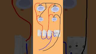 How to Wire 4 Ceiling Lights with 3 Switches | Professional Guide | #shots #electrical