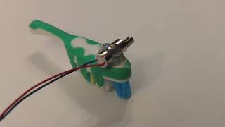 Family Fest - Brushbot Derby Race - Sample Toothbrush Brushbot