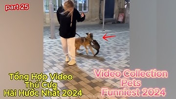Tổng Hợp Video Thú Cưng Hài Hước Nhất 2024 |Video Collection Pets  Funniest 2024 | Part 25 .