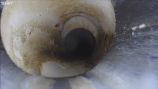 28113 150th Pl SE Kent- Towards the Main