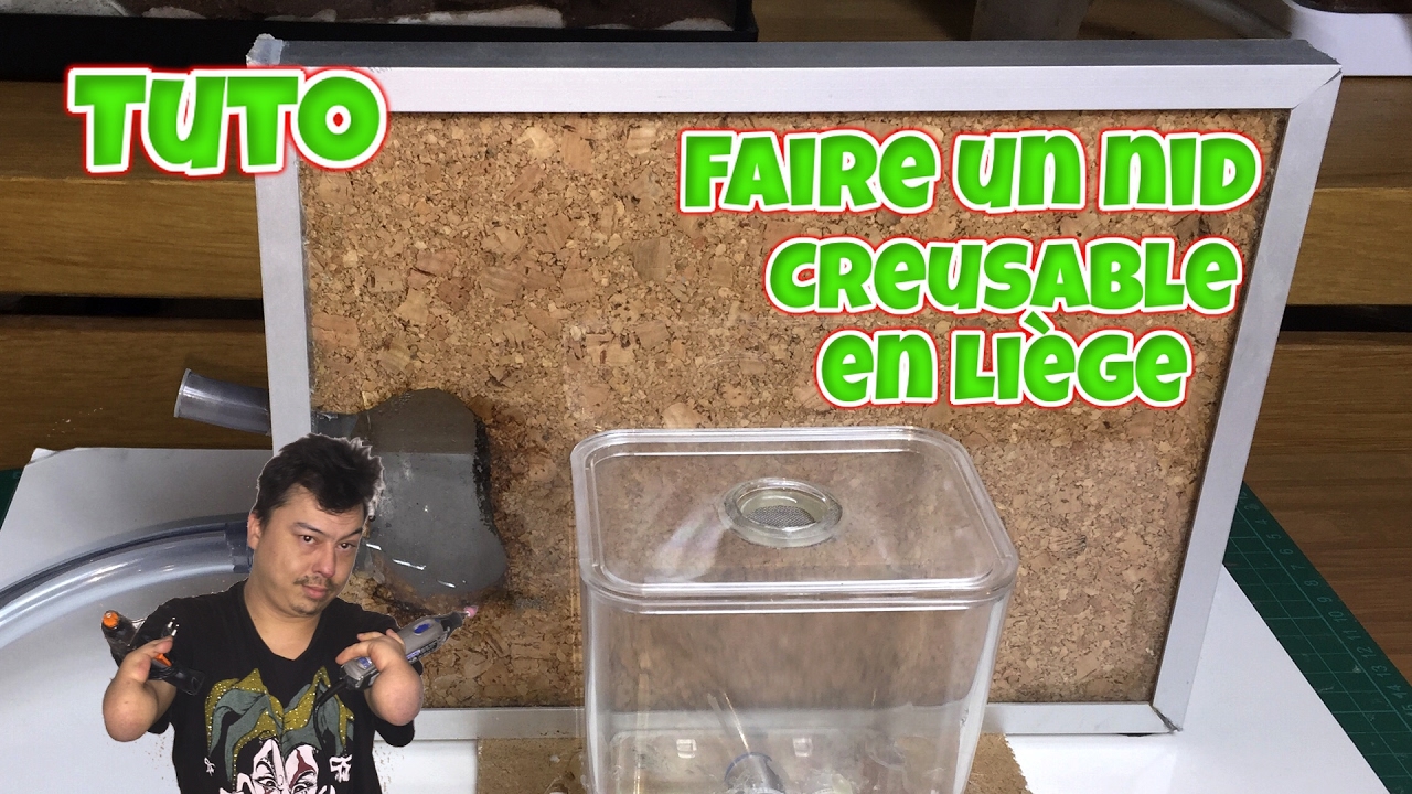 Tuto: Nids et Fourmicariums: Fabrication d'un nid en liège creusable