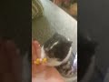 she stored it at the end!!🤣🤣