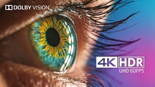 Endless Beauty in 4K HDR 60FPS Dolby Vision