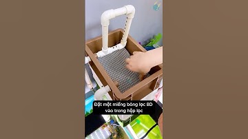Bông lọc 8D vừa lọc nước tốt vừa tiết kiệm cực hữu ích cho bể cá #aquarium #youtubeshorts
