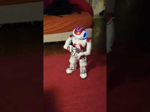 Nao ALAnimatedSpeech API Test