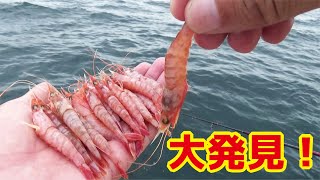 【発見】釣れるアイテムを偶然みつけたら大物がきた！