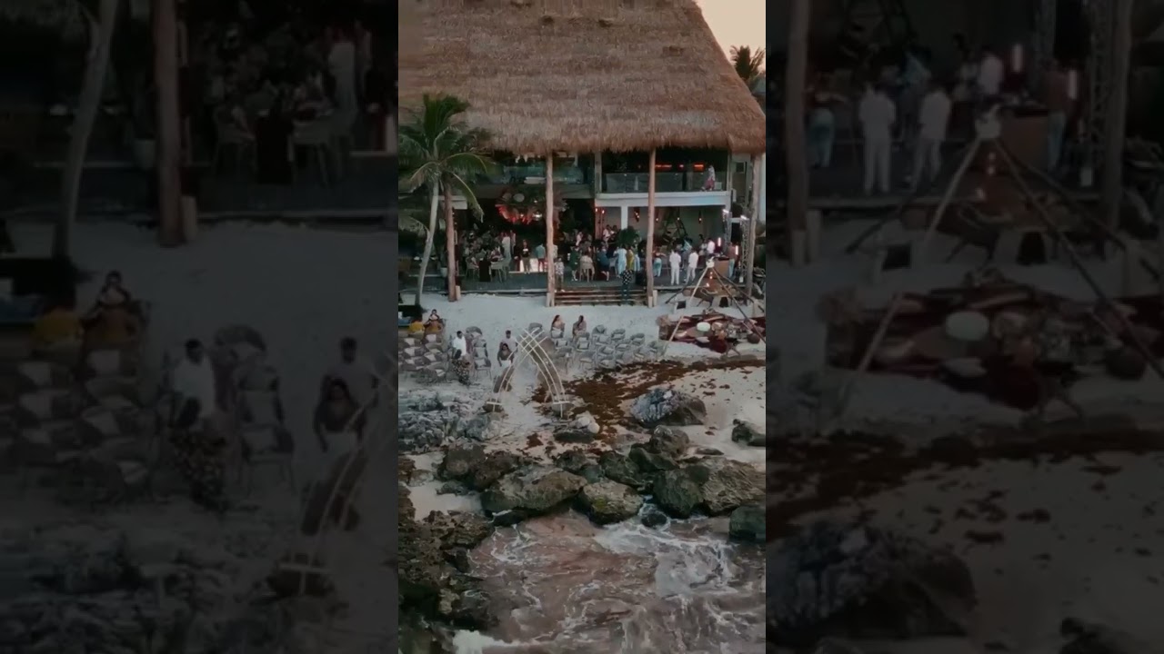 New Venue Blue Venado Tulum 💙🦌