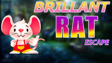 G4K Brilliant Rat Escape Game Walkthrough