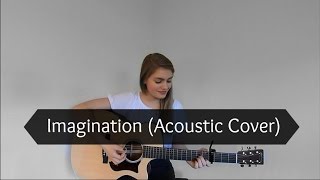 Shawn Mendes - Imagination (Acoustic Cover)